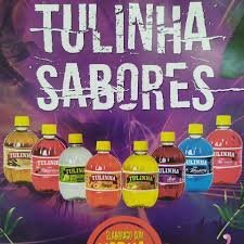 TULINHA FRUTAS VERMELHAS 470ML CX C/12